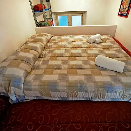 公寓 Duplex In San Salvario By Wonderful Italy